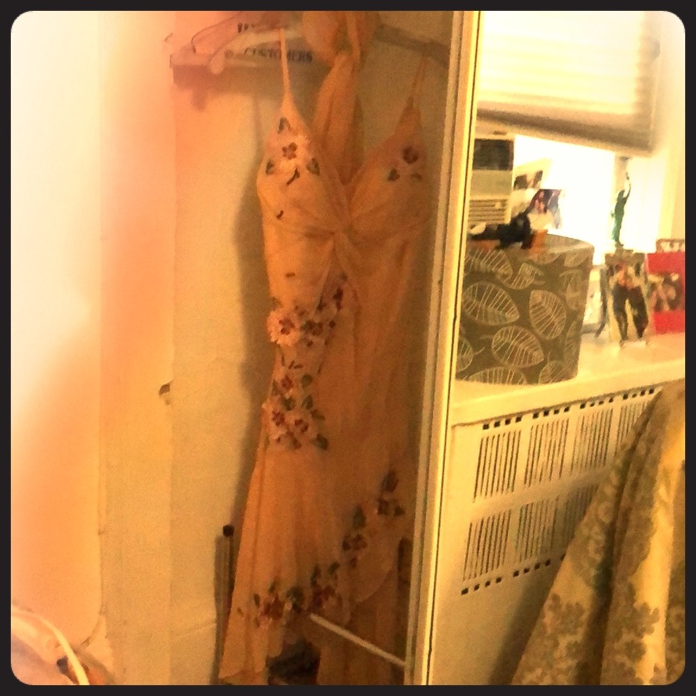 Beautiful 100% Silk, Hand Beaded Dress & Shawl